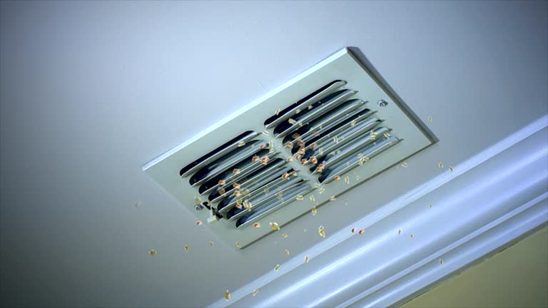 Best Air Duct Cleaning Near Me  in Elon, NC