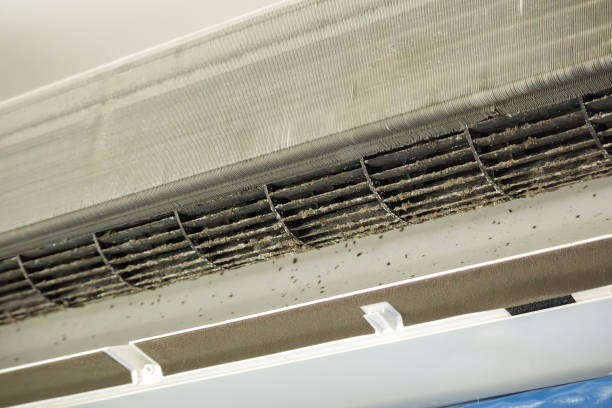 Best Affordable Air Duct Cleaning  in Elon, NC